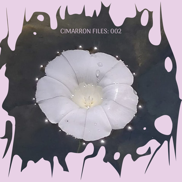 Connecting to your Queer & Trans Ancestors Through Plants