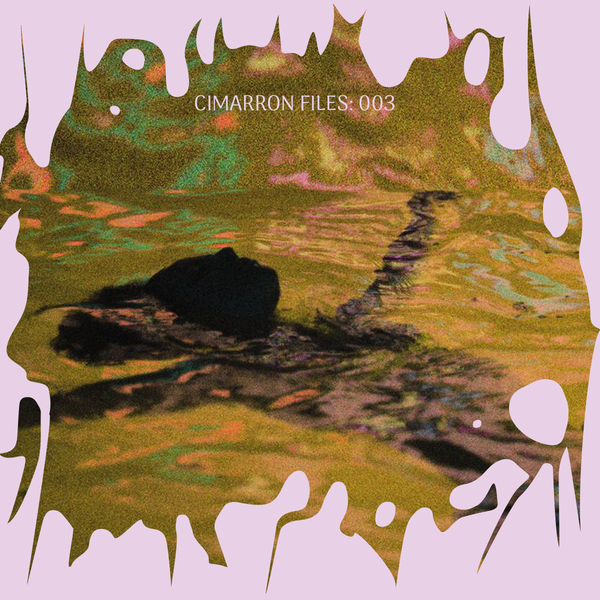 Recipe for a Nerve Nourishing Anti-Anxiety Oxymel