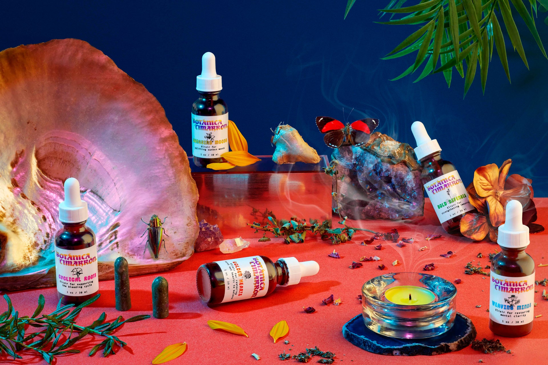 The Tonic Collection