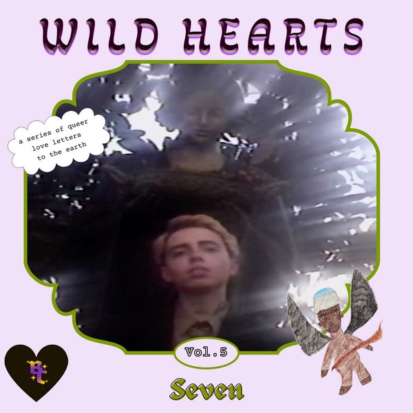 Wild Hearts ♥ Vol 5 ♥ Seven