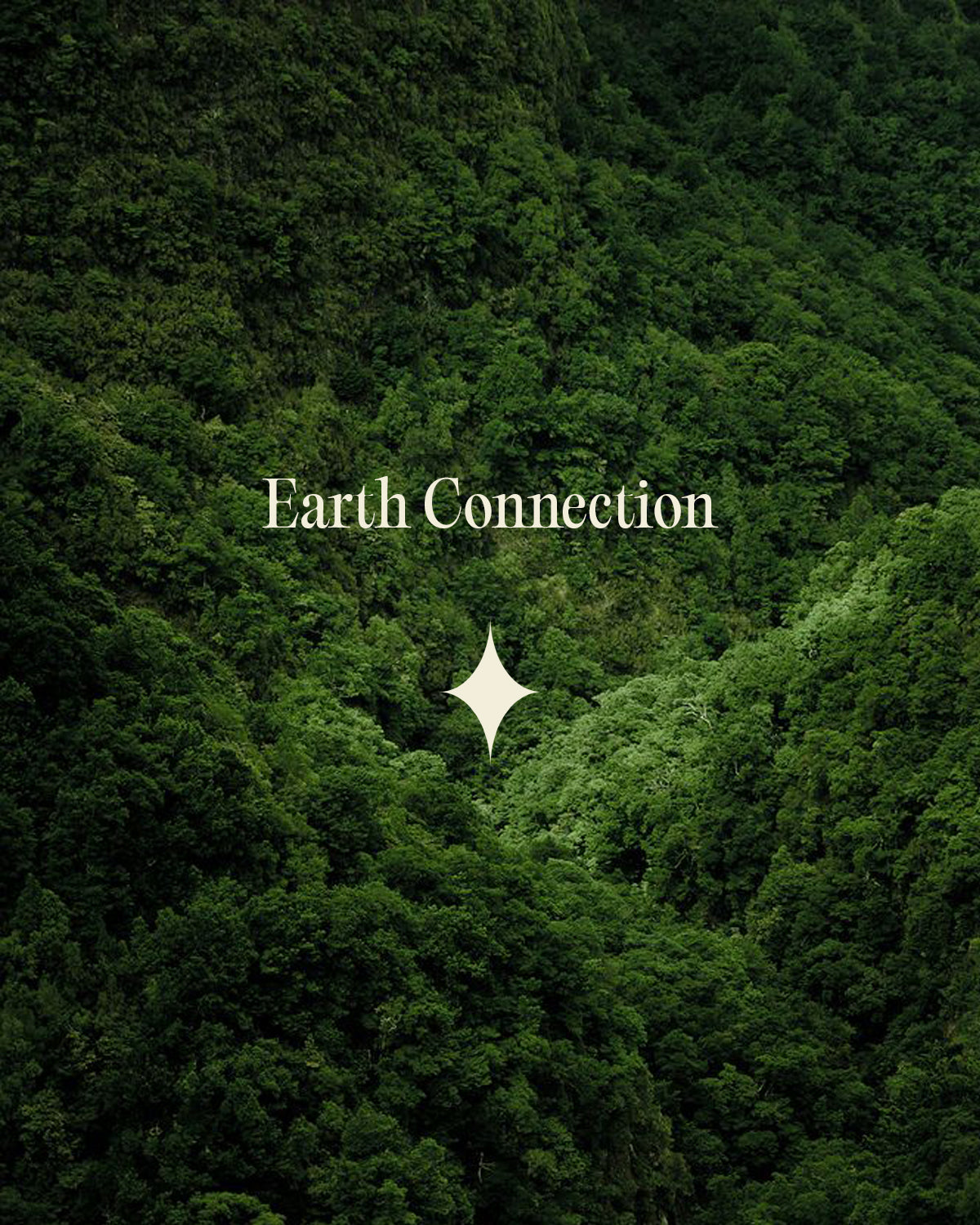 Earth Connection