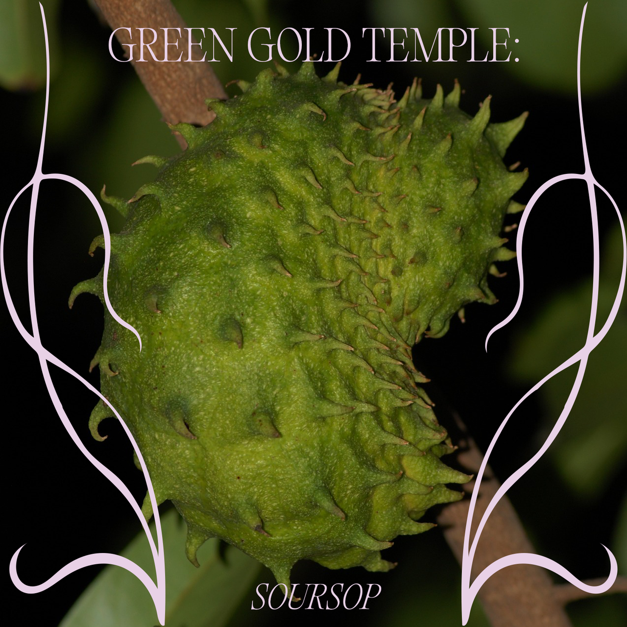 Green Gold Temple: Soursop